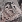 Seehund